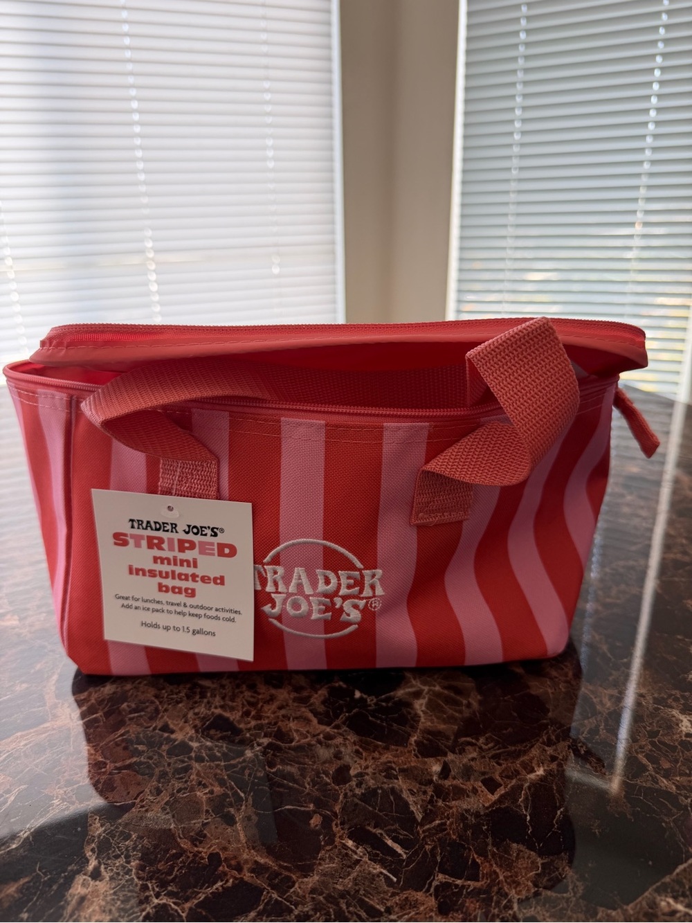 Trader Joe's Limited Edition Striped Mini Insulated Bag